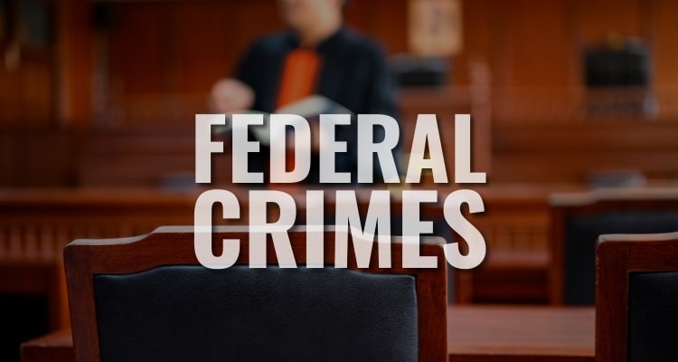 federal crimes attorney
