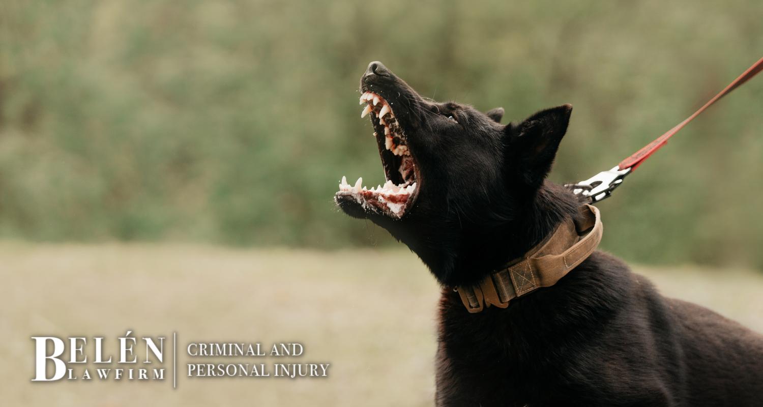 Abogado de mordeduras de perro del condado de Apache